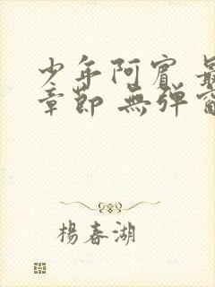 少年阿宾 最新章节 无弹窗 笔趣阁