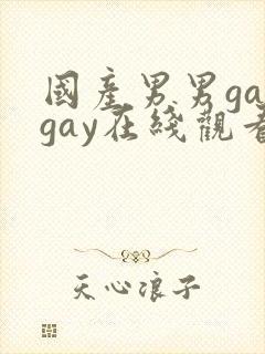 国产男男gaygay在线观看