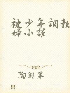 被少年调教的熟妇小说