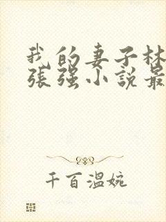 我的妻子林慧茹张强小说最新章节阅读