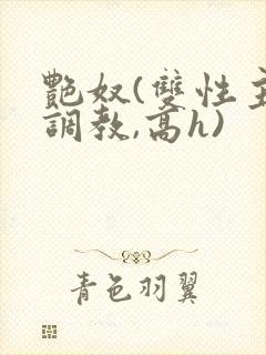 艳奴(双性主奴调教,高h)