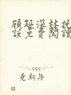 顾延深林挽音小说免费阅读最新章节封面