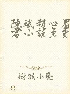 陈斌赵心眉高婉君小说免费阅读