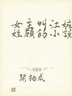 女主叫江婉男主姓顾的小说