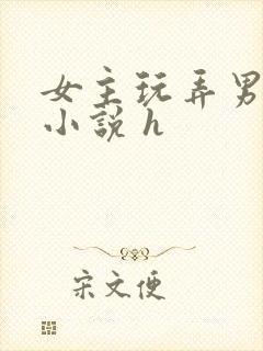 女主玩弄男人的小说 h