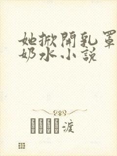 她掀开乳罩喂我奶水小说