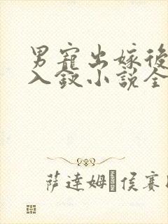 男宠出嫁后玉势入钗小说全文阅读