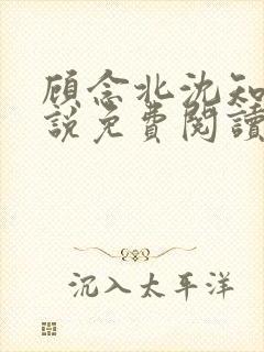 顾念北沈知宁小说免费阅读最新章节