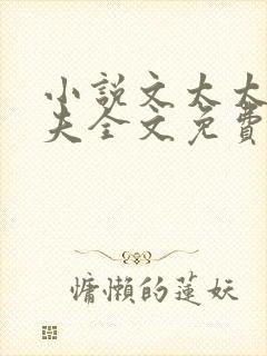 小说文太太的前夫全文免费阅读封面