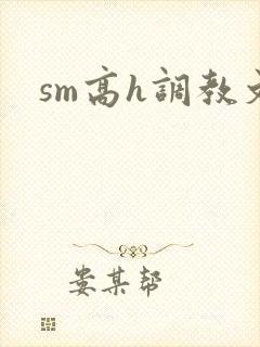 sm高h调教文