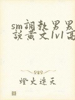 sm调教男男小说黄文1v1高h强制