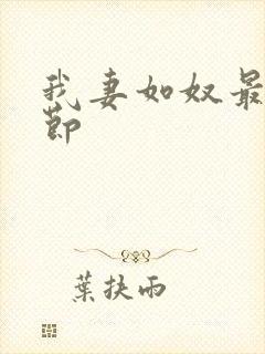 我妻如奴最新章节