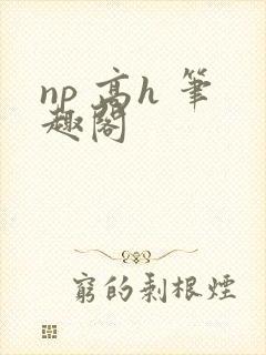 np 高h 笔趣阁