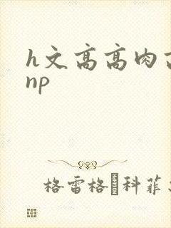 h文高高肉高辣np封面