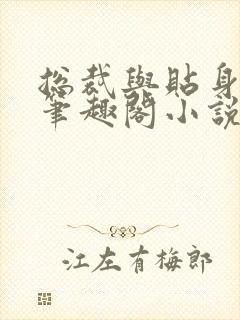 总裁与贴身秘书笔趣阁小说封面