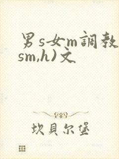 男s女m调教(sm,h)文