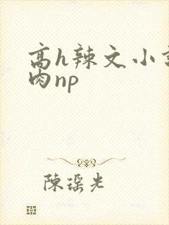 高h辣文小说纯肉np封面