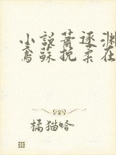 小说萧逐渊沈清鸢苏挽柔在线阅读