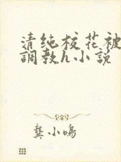 清纯校花被地狱调教h小说封面