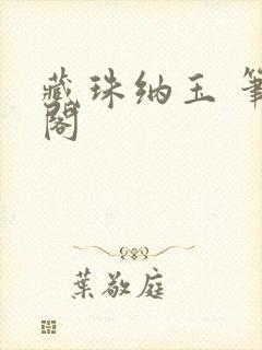 藏珠纳玉 笔趣阁