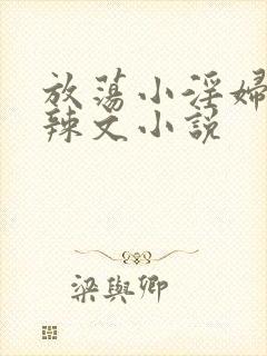 放荡小淫妇h肉辣文小说封面