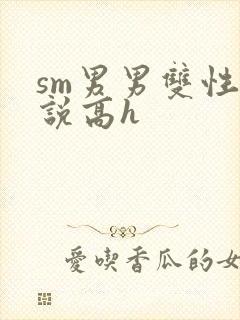 sm男男双性小说高h