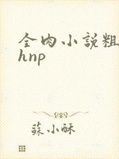 全肉小说粗暴高hnp