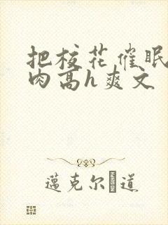 把校花催眠了纯肉高h爽文封面