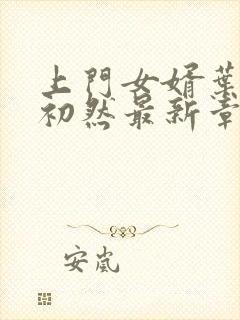 上门女婿叶辰萧初然最新章节免费阅读