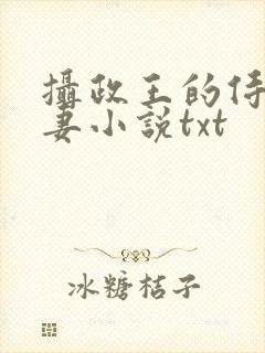 摄政王的侍爱逃妻小说txt封面