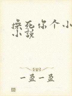 操死你个小骚货小说