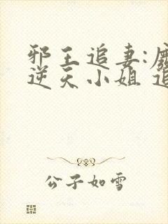 邪王追妻:废材逆天小姐 追书