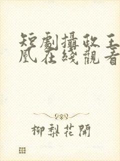 短剧摄政王的囚凰在线观看