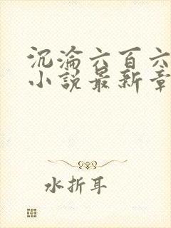 沉沦六百六十六小说最新章节更新