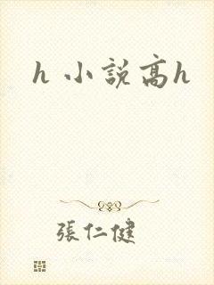 h 小说高h封面