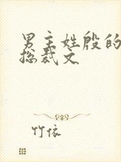 男主姓殷的小说总裁文