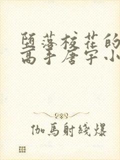 堕落校花的贴身高手唐宇小说