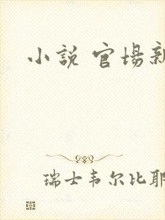 小说 官场新贵