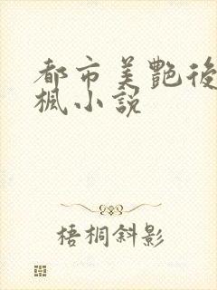 都市美艳后宫唐枫小说