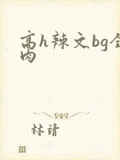 高h辣文bg全肉