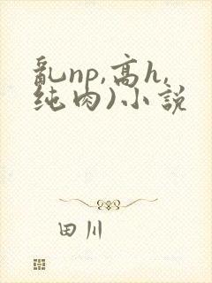 乱np,高h,纯肉)小说封面