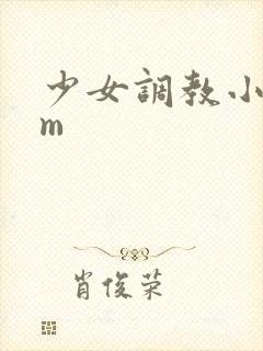 少女调教小说sm封面