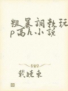 粗暴调教玩弄np高h小说