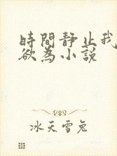 时间静止我为所欲为小说