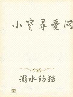 小宝寻爱网