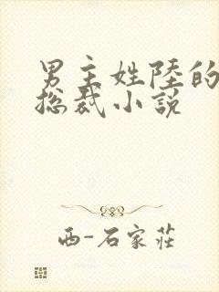 男主姓陆的所有总裁小说