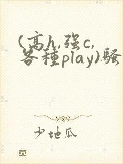 (高h,强c,各种play)骚话小说