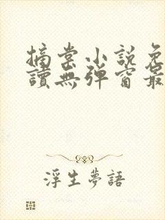 摘棠小说免费阅读无弹窗最新章节