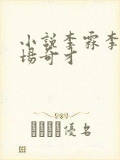 小说李霖李澜官场奇才封面