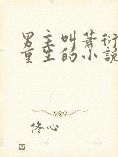 男主叫萧衍女主重生的小说